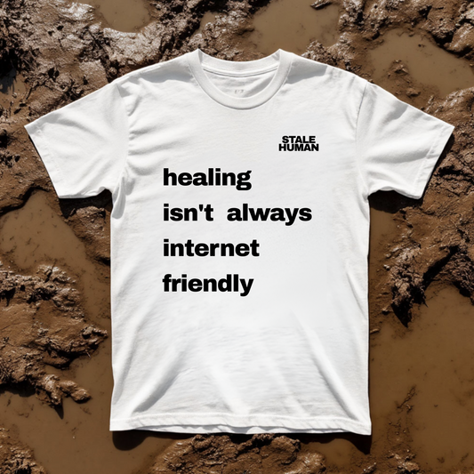Unisex T-shirt | healing isn't always internet friendly